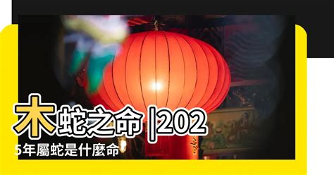 1980是什麼生肖|1980年屬什麼生肖